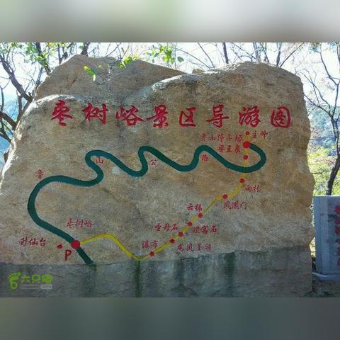 乡村振兴如何发展一产？这五个方向+三个案例给你答案！