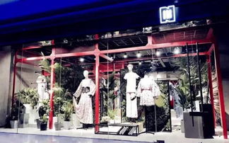 楚雄品牌女装店加盟指南，品牌女装店加盟热门品牌一览