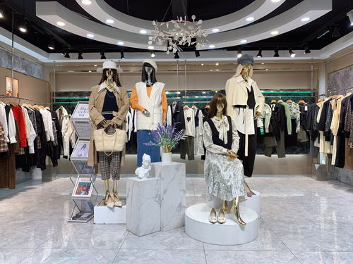 楚雄品牌女装店加盟指南，品牌女装店加盟热门品牌一览