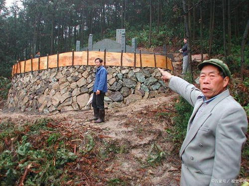 村支书如何带领村庄活起来，乡村振兴的实战指南