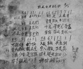 乡村四月的节奏密码，从平仄到韵律的乡村画卷