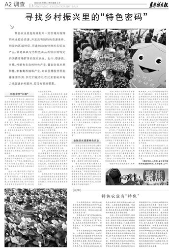 乡村四月的节奏密码，从平仄到韵律的乡村画卷