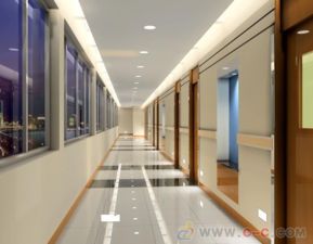 宁波宠物医院装修品牌选择指南