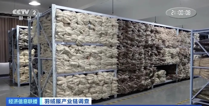 肥东鸭绒被生产全解析，从源头到市场，这些地方不容错过！