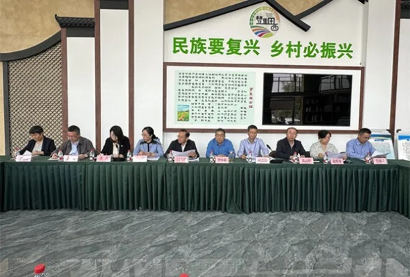统一战线助力乡村振兴，从政策到实践的全攻略