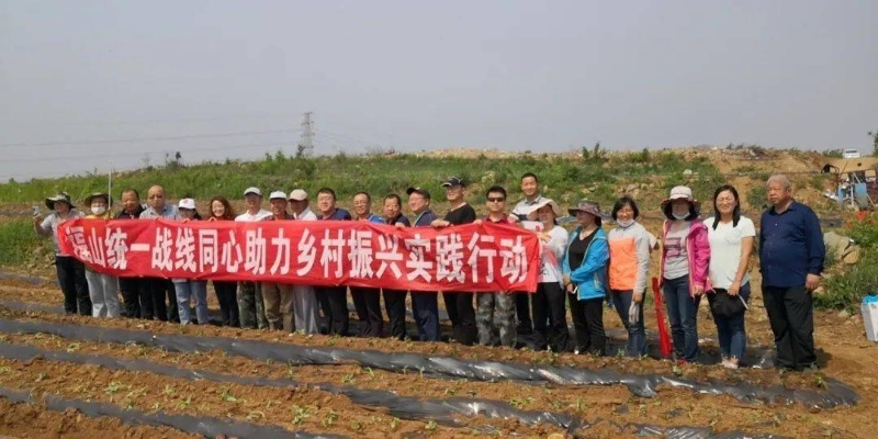 统一战线助力乡村振兴，从政策到实践的全攻略