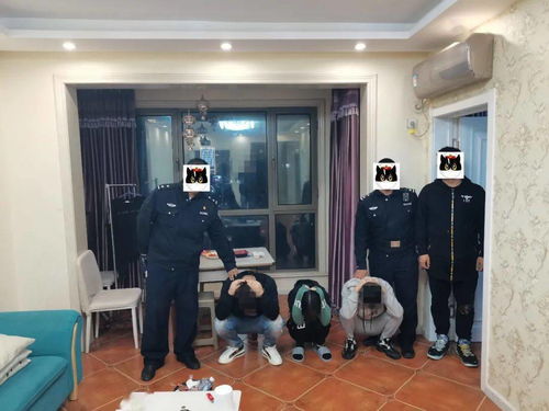阴特色电脑代理品牌介绍