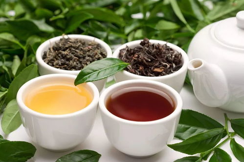 马昕彤亲测的10大茶叶品牌推荐，从传统到新式，喝出中国茶文化新高度
