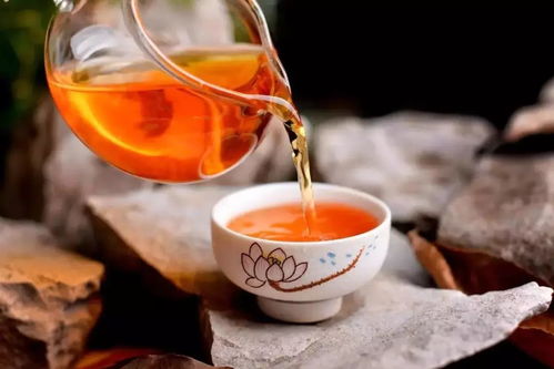 马昕彤亲测的10大茶叶品牌推荐，从传统到新式，喝出中国茶文化新高度