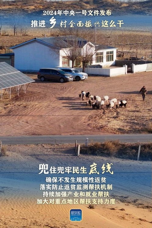 村文书如何做好乡村振兴，从老黄牛到领航员的实践与思考
