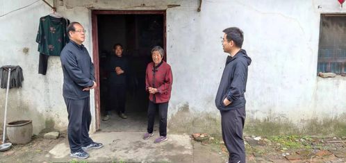 支农支小显担当，农村信用社助力乡村振兴的实践路径