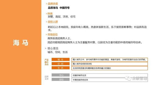 北京石景山区抖音月付取现全解析，操作指南、常见问题及案例分享