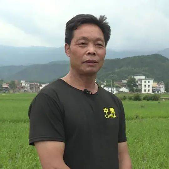 72元鸭绒被值不值得盖？实测对比和选购指南