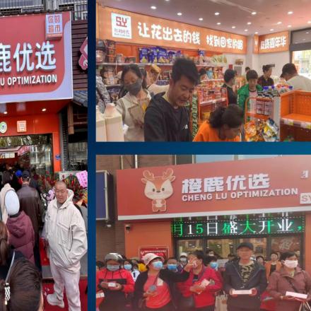 鹿优选额度提现指南，如何轻松管理你的初始资金