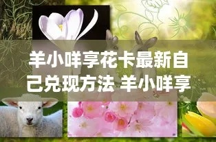 羊小咩享花卡省钱全攻略，手把手教你花小钱玩转大羊毛