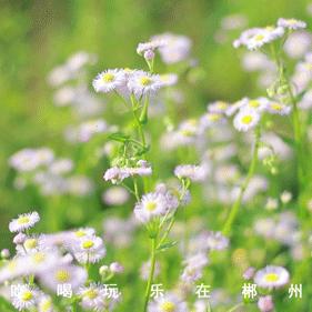 东河景点好评排行榜，本地人私藏的宝藏地TOP10