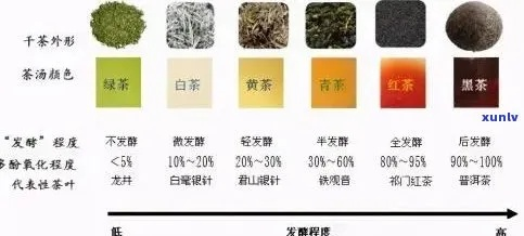 仙夷峰茶叶全解析，从品牌故事到爆款产品，手把手教你选茶