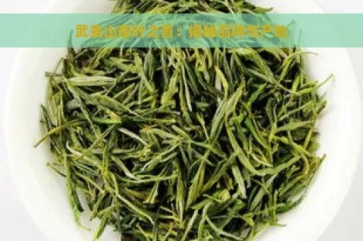 仙夷峰茶叶全解析，从品牌故事到爆款产品，手把手教你选茶