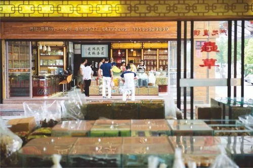福鼎白茶加盟品牌店名推荐