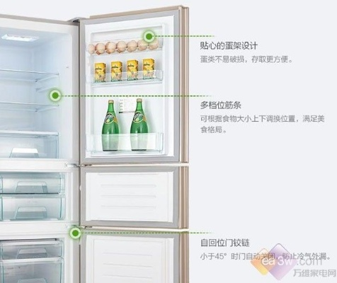 三门一级能效冰箱选购指南，节能省电又实用的家庭好帮手