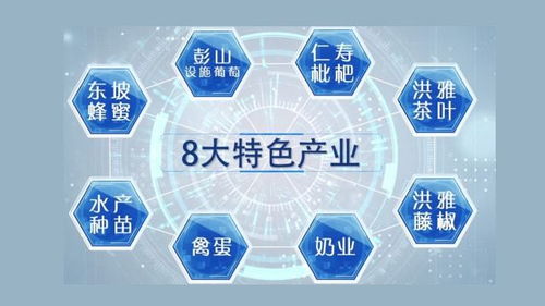 乡村振兴义工队管理全攻略，机制、案例与实用表格