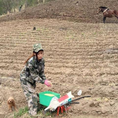 吉林美容院加盟热门品牌推荐