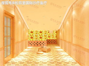 河北盐蒸房加盟品牌大全