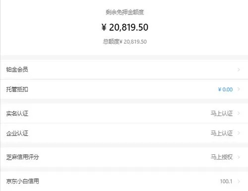 羊小咩便荔卡提现C35300全解析—从申请到提现的详细指南