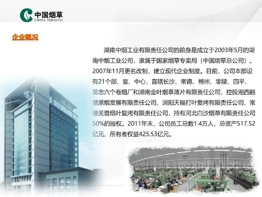 湖南省加盟烟草品牌大盘点