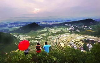 中原热土如何炼成诗画乡村？河南乡村旅游品牌塑造全攻略