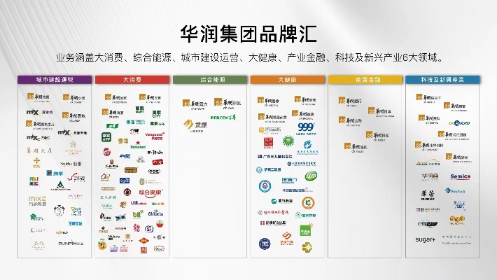 华润集团医药品牌解析