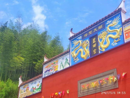 前锋区景点人气排行榜，本地人私藏的5大网红打卡地+隐藏玩法大公开