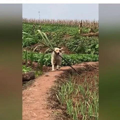 如何安全地查询开房信息