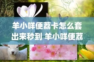 羊小咩便荔卡提现全攻略，免费提现的隐藏规则与避坑指南
