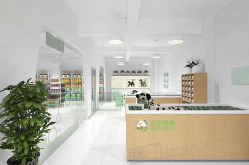 杨浦宠物医院装修品牌指南