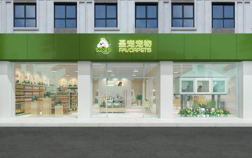 杨浦宠物医院装修品牌指南