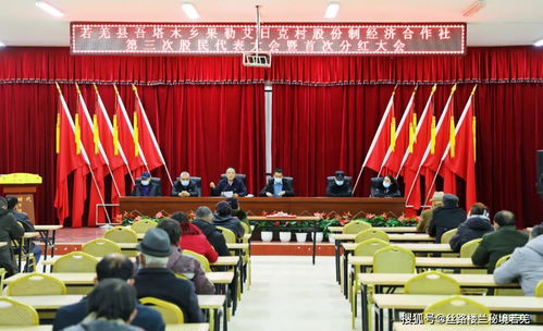 乡村振兴履职尽责的实践路径与案例分析