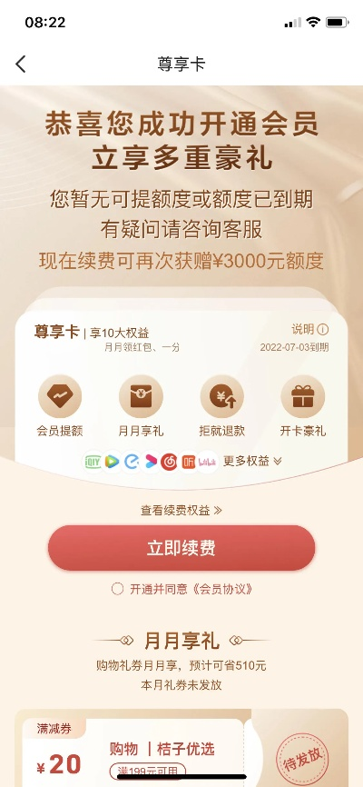 桃多多桃享卡额度使用指南及案例分析