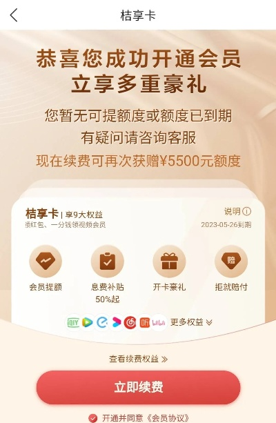 桃多多桃享卡额度使用指南及案例分析