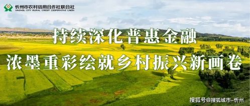 银行发展乡村普惠金融的三大破局之道，让金融活水精准滴灌田间地头