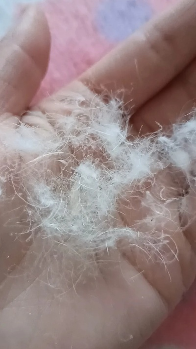 鸭绒被到底适不适合皮肤干燥的人？一篇文章说清楚！