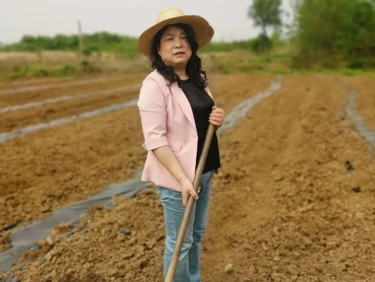 乡村妇女的她力量，从家庭到田野的蜕变之路