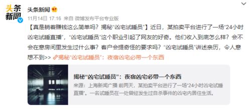 揭秘隐私侵犯，查开房记录的真相与后果