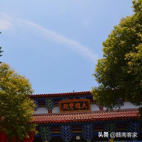 信丰门窗加盟店热门品牌一览