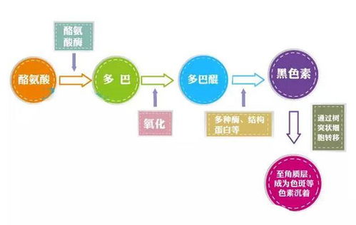 湖南晶通医药品牌营销策略
