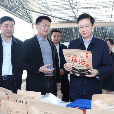 传统医药品牌设计，传承与创新的融合