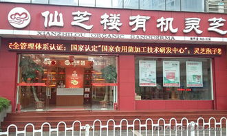 仙芝楼加盟品牌店汇总，热门加盟品牌与开店策略