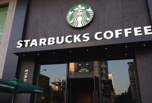 茶叶门店还是品牌更重要？手把手教你选对茶