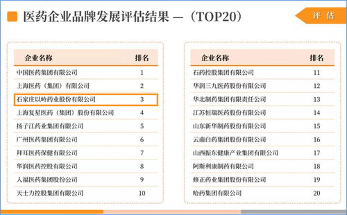 医药品牌概览