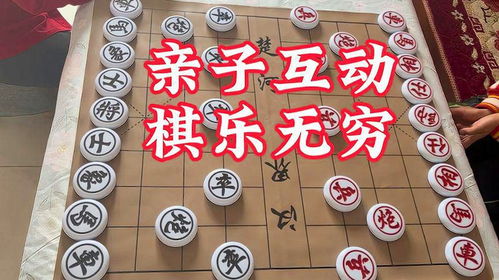 智能滚球玩具品牌全解析，从科技玩感到亲子互动的宝藏清单